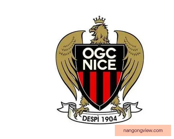 尼斯俱乐部：从辉煌历史到现代挑战的崛起与蜕变